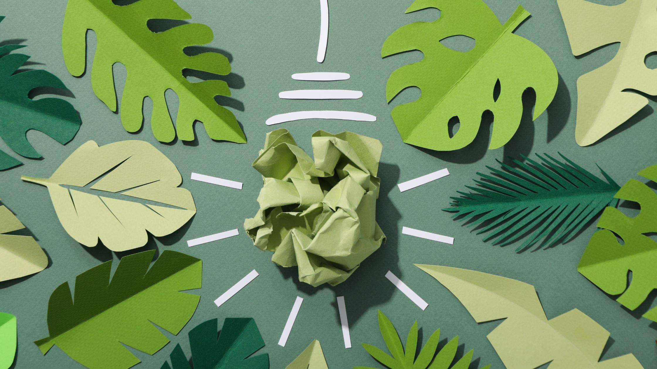 Eco design no ciclo de vida do produto.